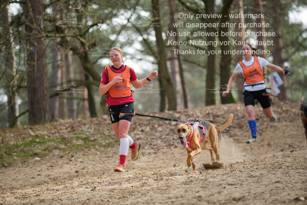 LangeCross-198 | stephaniefillaphotographie - Realisiert mit Pictrs.com