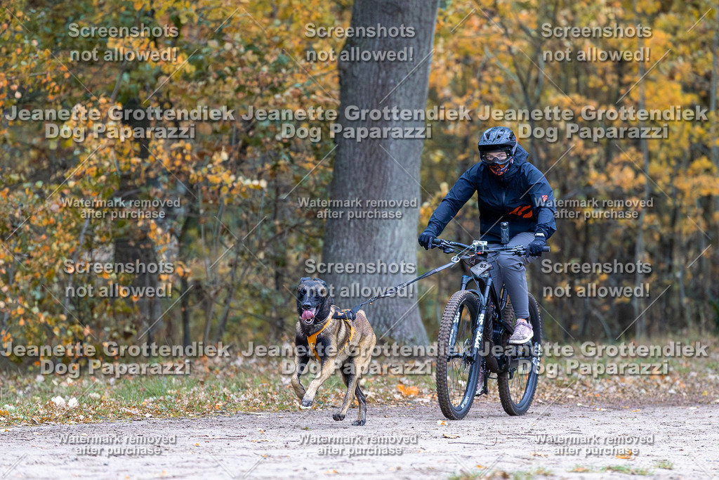 Dog Paparazzi - SD CaniX Championship 2025-40 | Dog Paparazzi Jeanette Grottendiek Fotografie & Videografie - Realisiert mit Pictrs.com