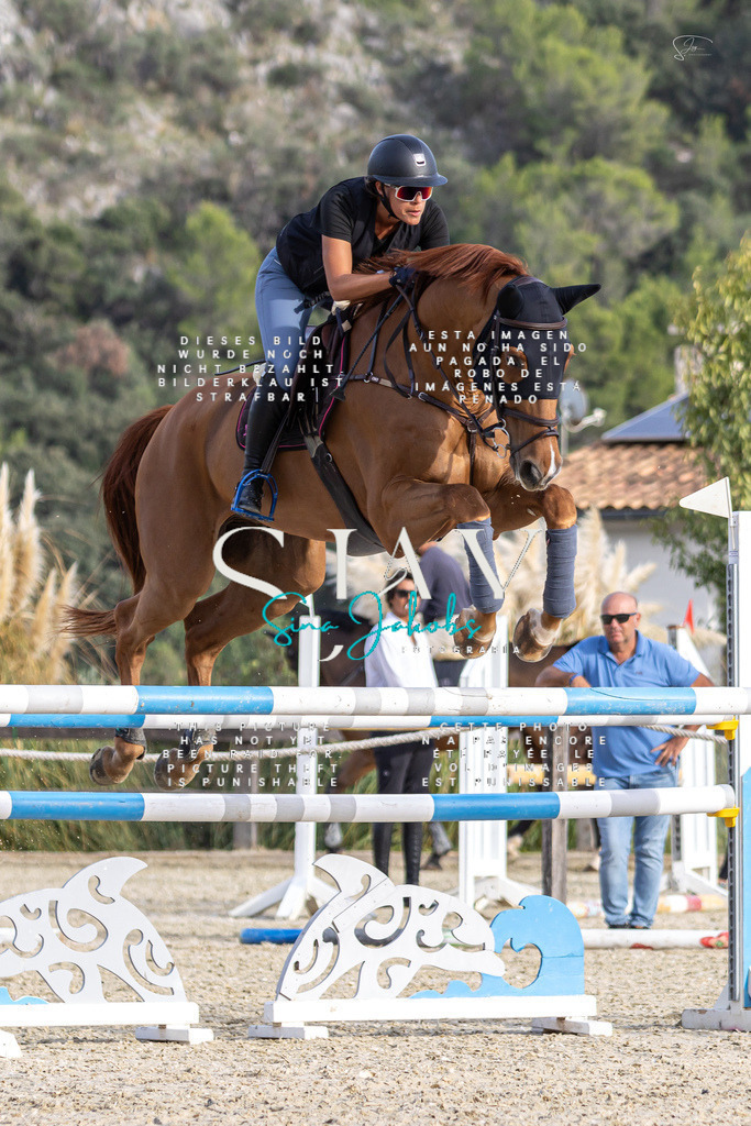 IMG_4473 | s-jay-photography - Realisiert mit Pictrs.com