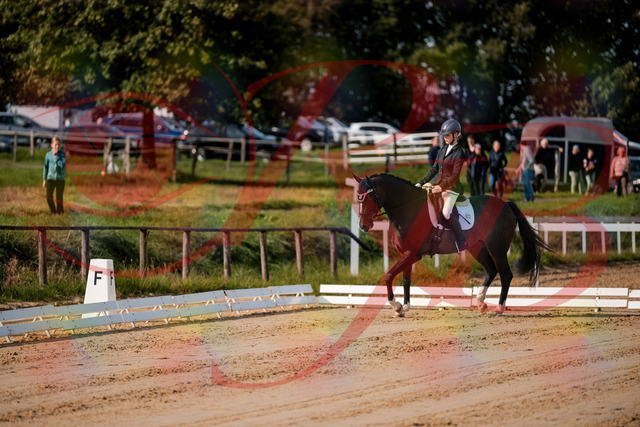 2026_10_03_Siefer-Hof_113246_Z63_19114167 | Professionelle Reitsport-, Turnier- und Eventfotografie von Robert Broda. Galerien mit ausgewählten und bearbeiteten Bildern direkt online ansehen und bestellen.