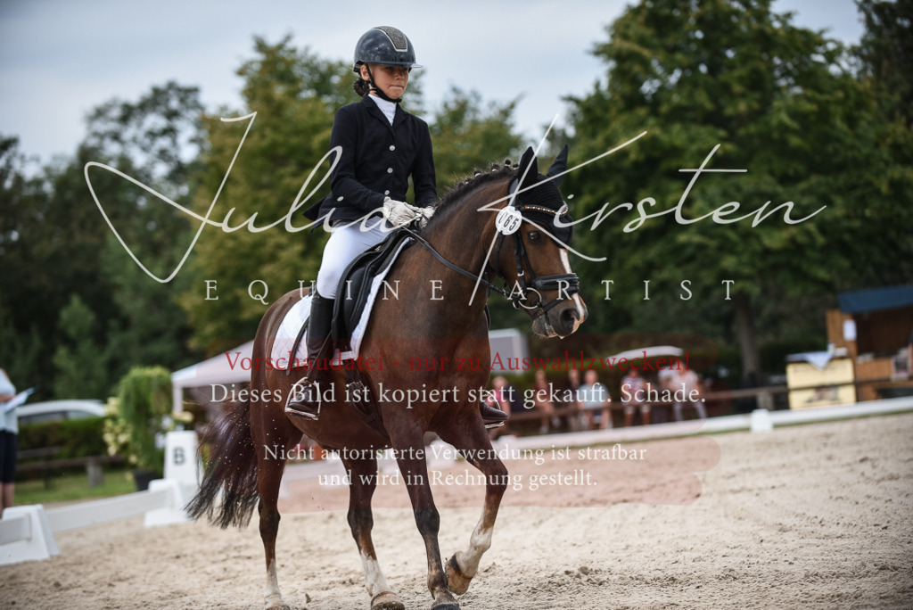 DSC_8168 | Pferde- und Turnierfotografie in Westsachsen. Pferdeportraits, Auftragszeichnungen und intuitive Kunst.