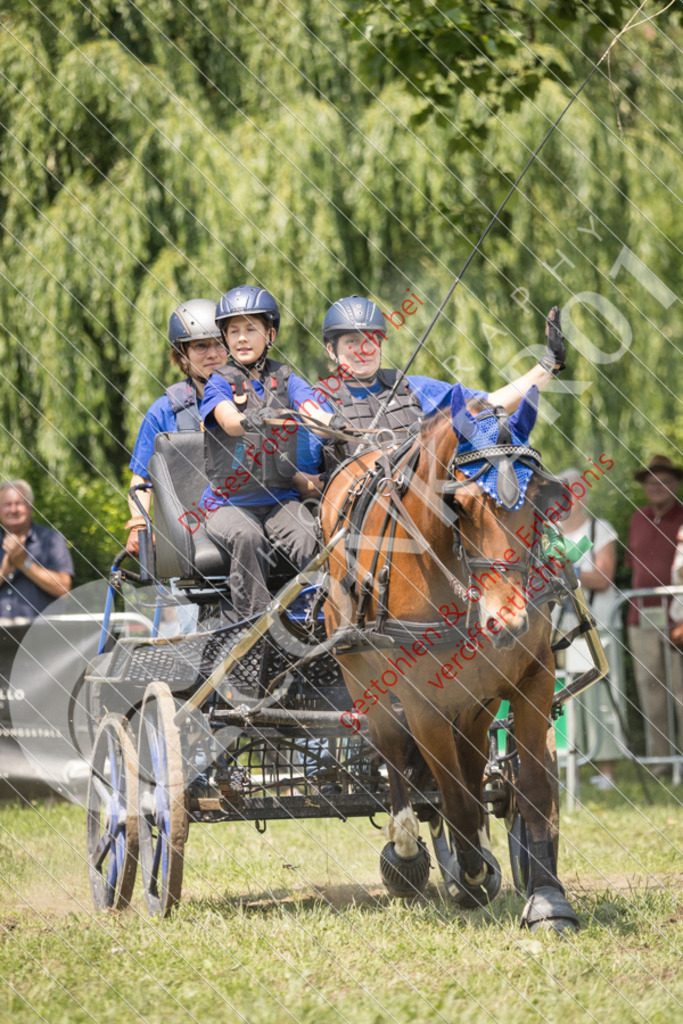 IMG_9262 | Sport-, Event- und Tierfotos in Profiqualität. Einfach auswählen, bestellen und herunterladen. Dein Moment – perfekt festgehalten.