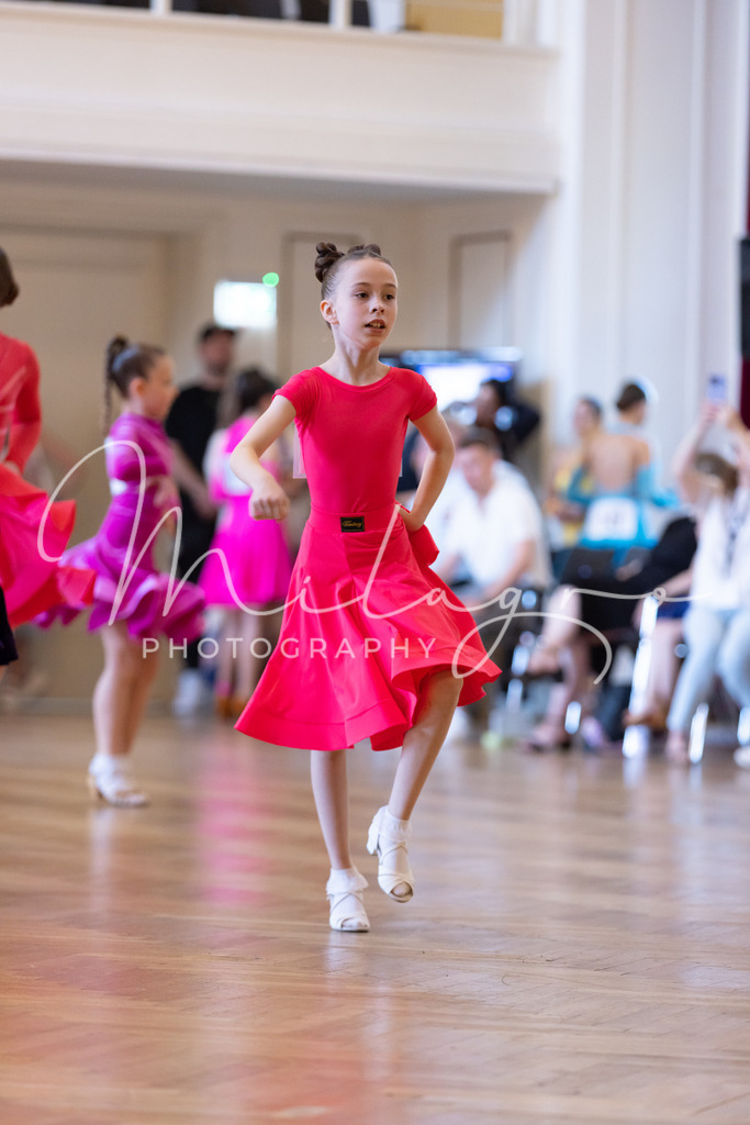 MainzPalaceOpen-153 | milagro-photography