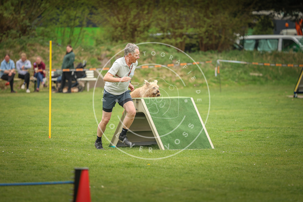 Pfotenfotografie_0L8A1768 | Hundefotografie, Tierfotograf, Pfotenfotografie, Fotoshooting Hund, Hunde Portrait, Hundesport, Hundeportraits, Heideshooting, Hunde, Sportfotograf, Hundefotograf, Turnierhundsport, THS,  - Realisiert mit Pictrs.com
