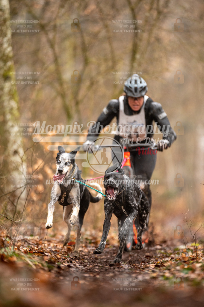 Reiat2023_SON_DS2_5km_2H-14 | PayLife