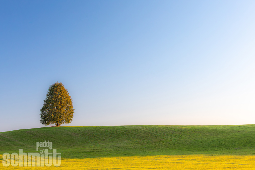 PS-Natur-2026-89 | Entdecke die größte Bildgalerie der Region mit Fotografien aus dem Allgäu, der Bodenseeregion, Oberschwaben, dem Donautal und der Schwäbischen Alb. Landschaften, Luftaufnahmen und Reisefotografie als Wandbild und Fotokunst. - Realisiert mit Pictrs.com
