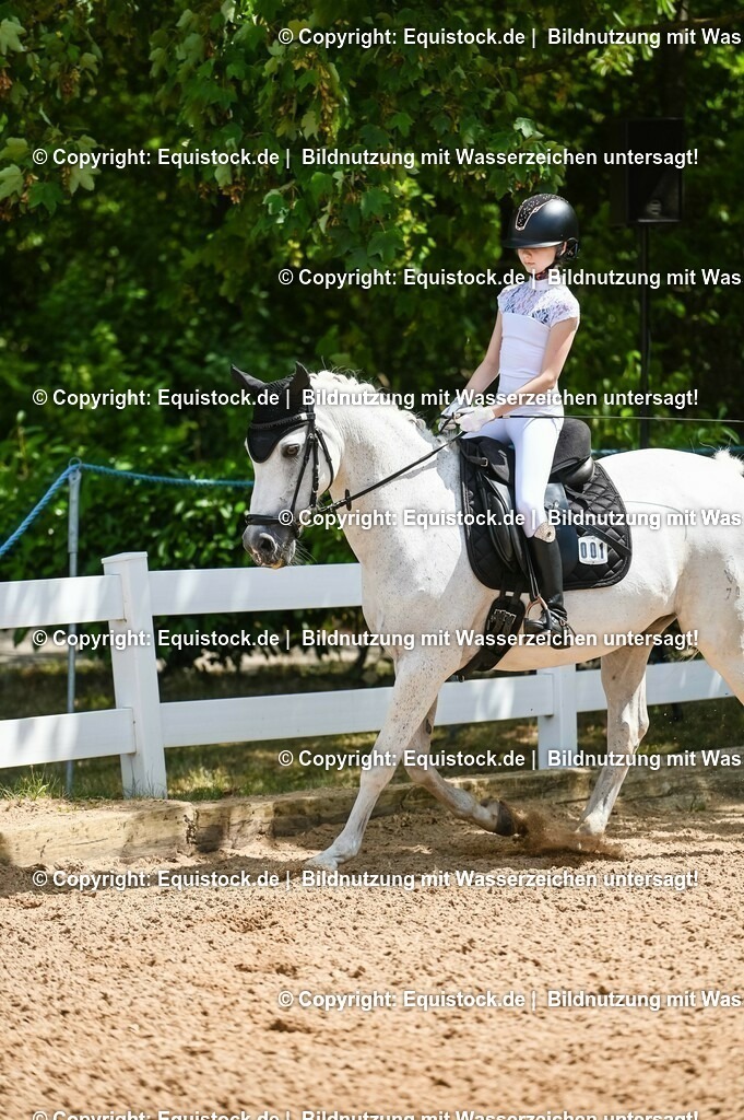 20230715_09_Dressur-WB_0040 | equistock