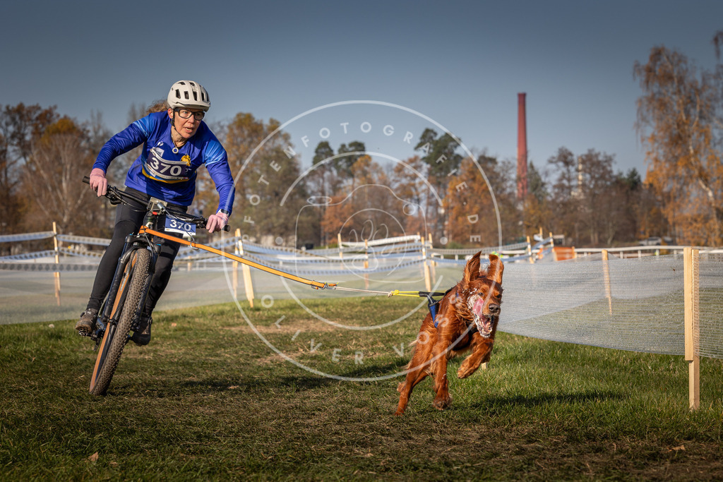 CaniXpix_0L8A7798 | Hundefotografie, Tierfotograf, Pfotenfotografie, Fotoshooting Hund, Hunde Portrait, Hundesport, Hundeportraits, Heideshooting, Hunde, Sportfotograf, Hundefotograf, Turnierhundsport, THS,  - Realisiert mit Pictrs.com