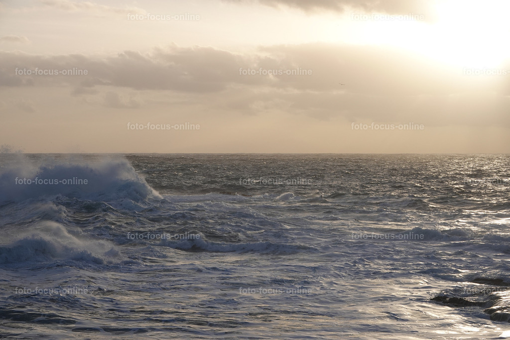 Wild Waves | Wild Waves Atlantic