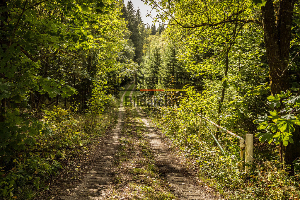 innerdeutsche Grenze Grünes Band Sorge Benneckenstein-0222 | Die innerdeutsche deutsch-deutsche Grenze, das Grüne Band - Realisiert mit Pictrs.com