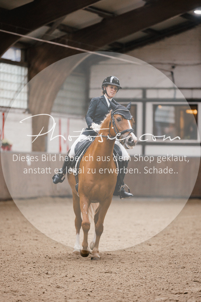 3I6A6478 | Stimmungsvolle Portraits und Reitsportfotografie im Ruhrgebiet und im Münsterland.

Pferdefotografie, Hundefotografie, Tierfotografie, Reportagen, Portraits von Tier und Mensch, Turnierfotografie in Bochum, Recklinghausen, Marl, Haltern am See, Dülmen.. - Realisiert mit Pictrs.com