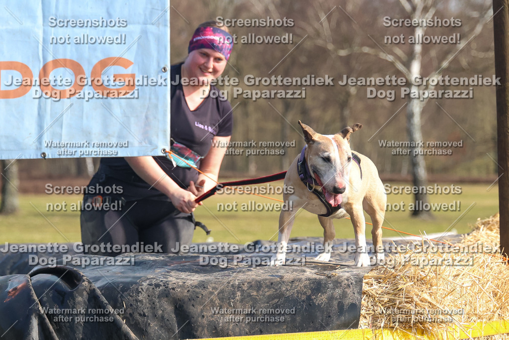 Dog Paparazzi - Strongdog North Mrz26-2506 | Dog Paparazzi Jeanette Grottendiek Fotografie & Videografie - Realisiert mit Pictrs.com