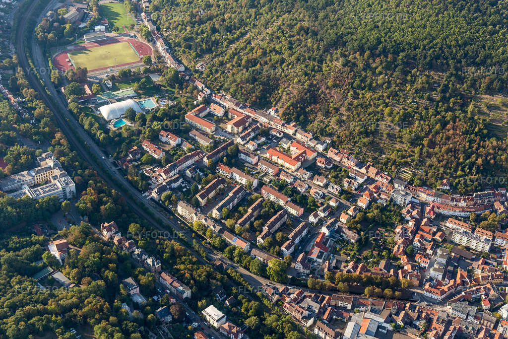Luftbild: Schöntal in Neustadt an der Weinstraße im Bundesland Rheinland-Pfalz in Deutschland. Foto: IMG_111793.jpg vom 16.09.2018 durch Werner Riehm/FLY-FOTO.de
