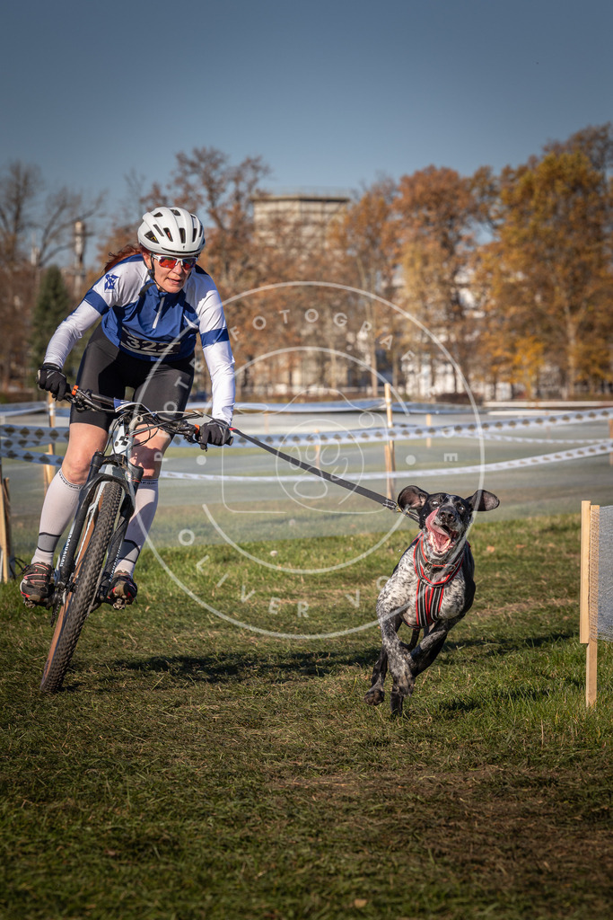 CaniXpix_0L8A5700 | Hundefotografie, Tierfotograf, Pfotenfotografie, Fotoshooting Hund, Hunde Portrait, Hundesport, Hundeportraits, Heideshooting, Hunde, Sportfotograf, Hundefotograf, Turnierhundsport, THS,  - Realisiert mit Pictrs.com