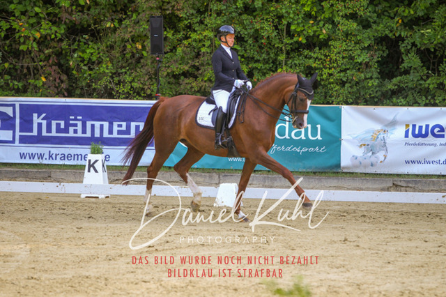 DKP41580 | Turniersportfotografie; Pferdefotografie; Dressurfotografie