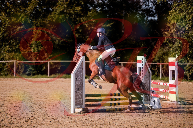 2026_10_03_Siefer-Hof_155314_Z81_72601326 | Professionelle Reitsport-, Turnier- und Eventfotografie von Robert Broda. Galerien mit ausgewählten und bearbeiteten Bildern direkt online ansehen und bestellen.