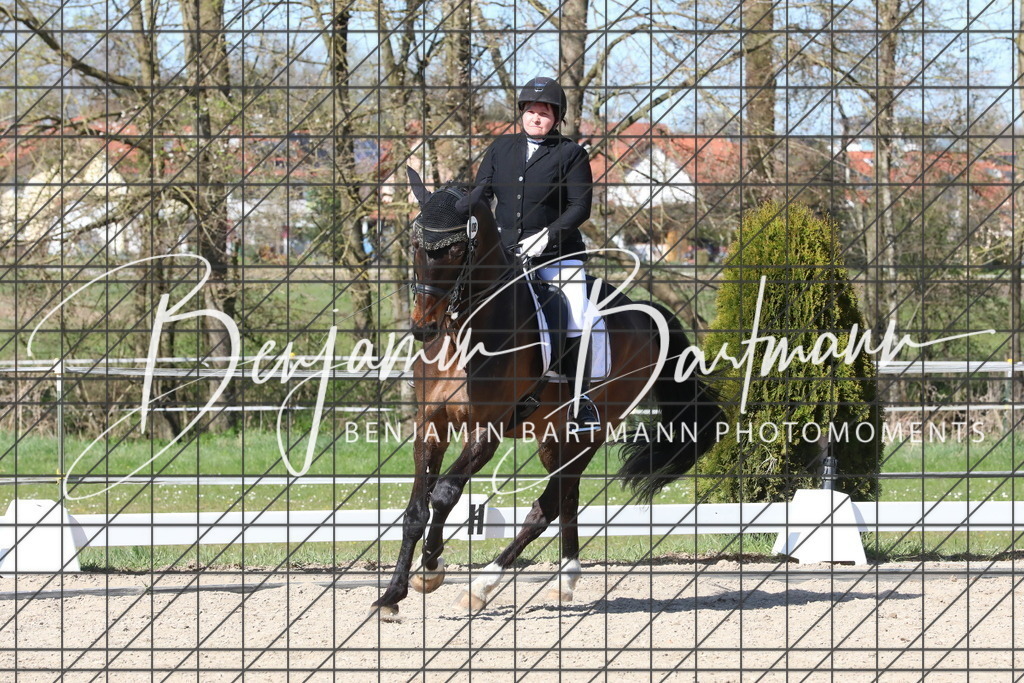 AZ2A4867 | Benjamin Bartmann Photomoments