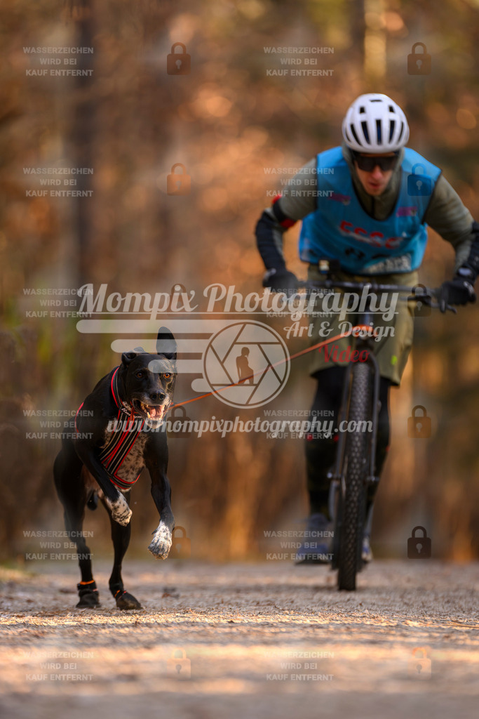MompixPhotography_DM_AKDM_SO_2025_Scooter-132 | PayLife