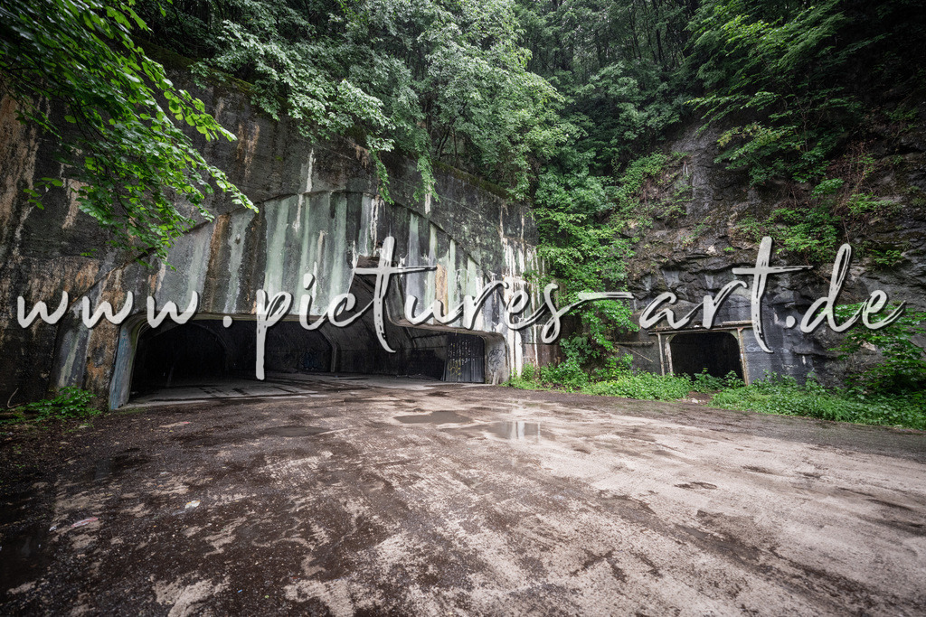 DSC02517 | pictures-art.de