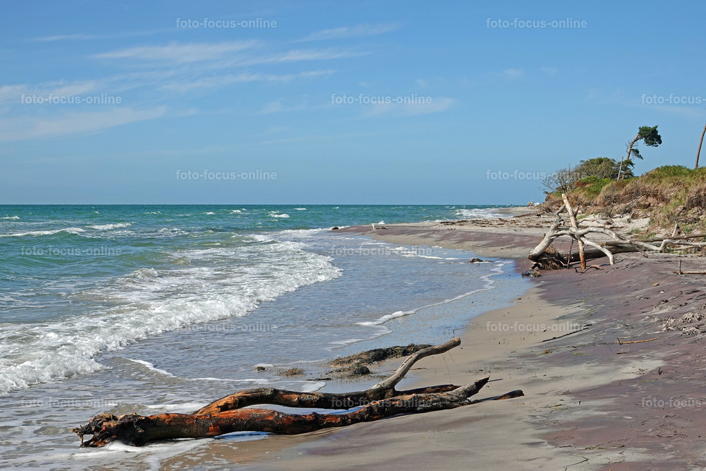 West Beach, Darß | foto-focus-online
