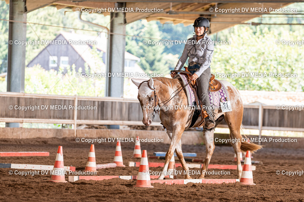 Erbach Tag 2-637 | dv-media-shop - Realisiert mit Pictrs.com