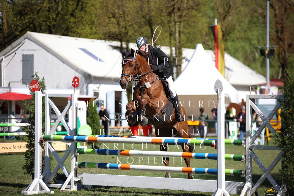 IMGT0493 | pl-fotografie