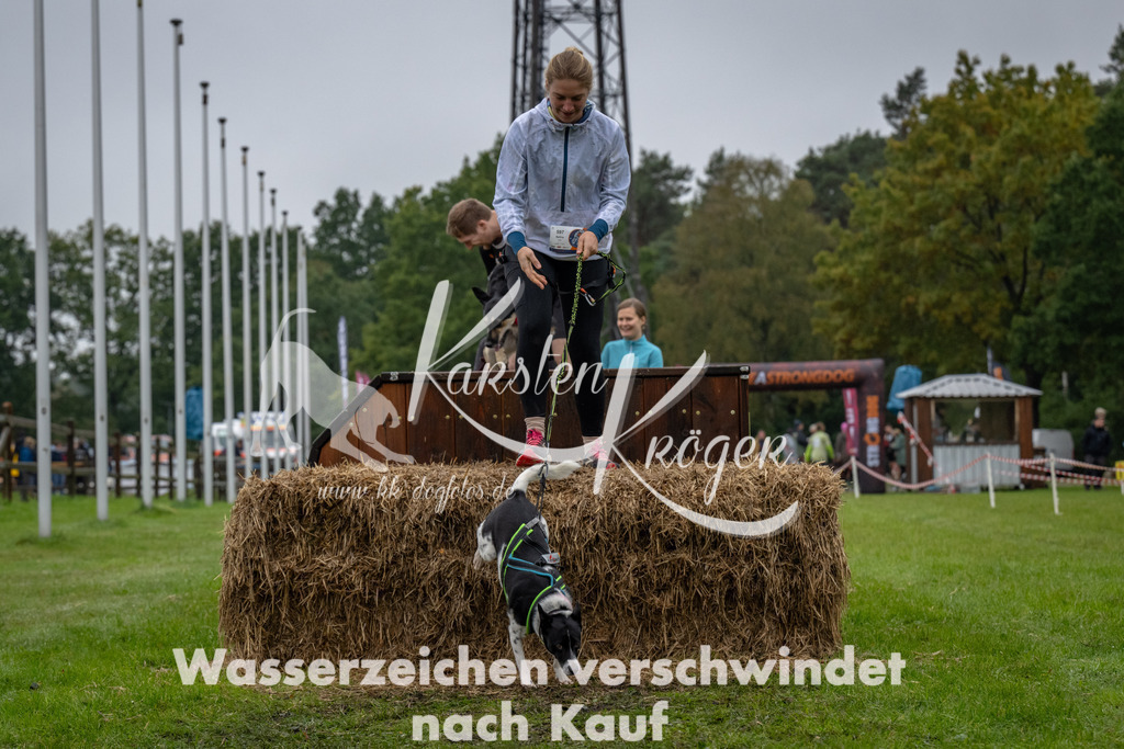 1123-94552 | kk-dogfotos