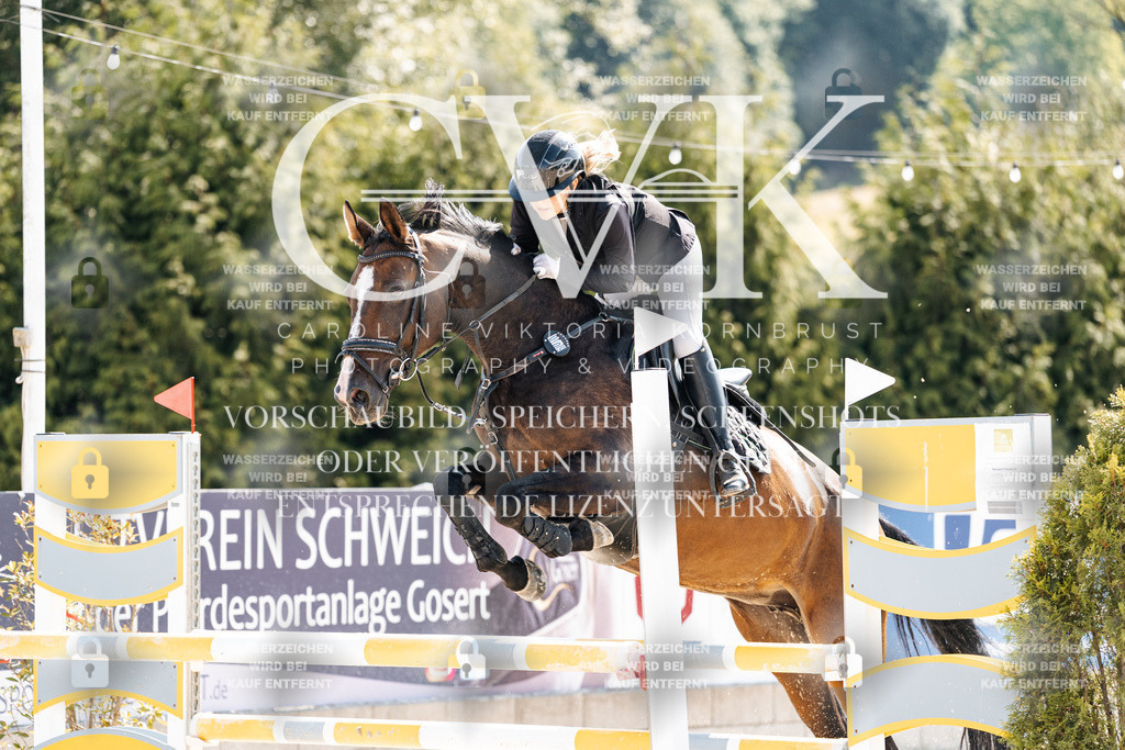 CK908390 | Turnierfotografie Pferdefotografie Trier Rheinland-Pfalz Pferdesport Reitsport Tierfotografie Sportfotografie Pferdevideo Pferdevideografie Equestrianvideography equestrianphotography  - Realisiert mit Pictrs.com
