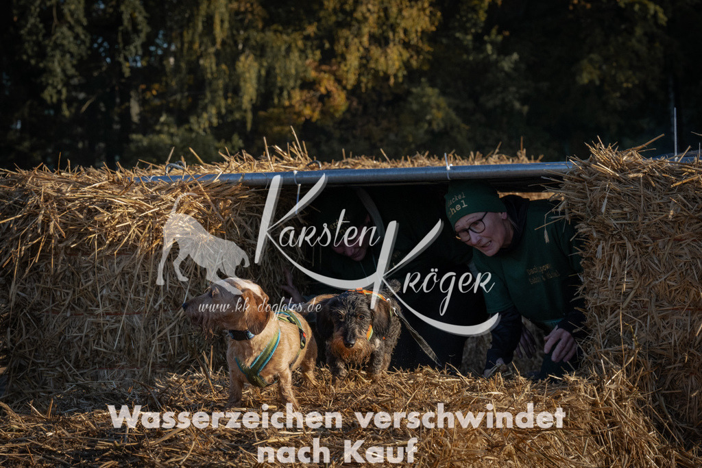 0924_ZZ92879 | kk-dogfotos