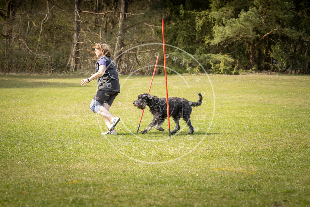 Pfotenfotografie_DV3A9673 | Hundefotografie, Tierfotograf, Pfotenfotografie, Fotoshooting Hund, Hunde Portrait, Hundesport, Hundeportraits, Heideshooting, Hunde, Sportfotograf, Hundefotograf, Turnierhundsport, THS,  - Realisiert mit Pictrs.com