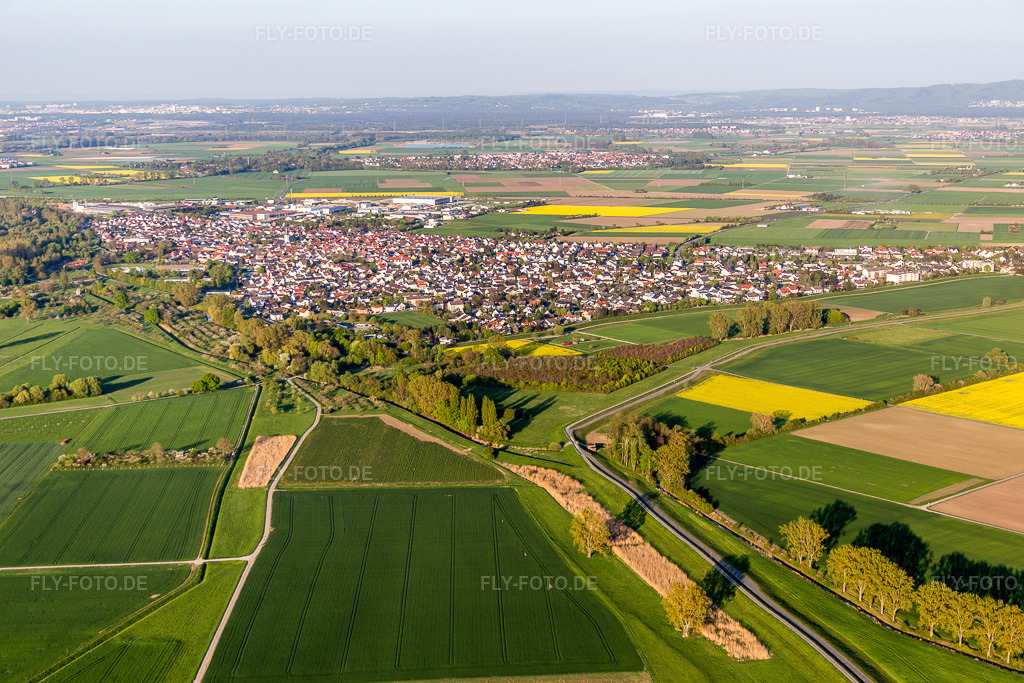 Luftbild: Ortsansicht der Straßen und Häuser der Wohngebiete in Stockstadt am Rhein im Bundesland Hessen in Deutschland. Foto: IMG_077661.jpg vom 23.04.2015 durch Werner Riehm/FLY-FOTO.de