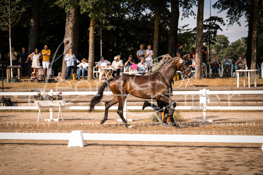 FrER00155 | Leoni Ertmer Photography - Realisiert mit Pictrs.com