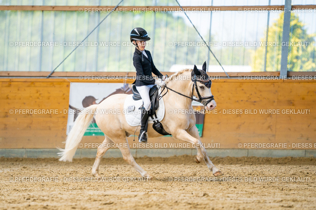 DSC07404 | Pferdegrafie