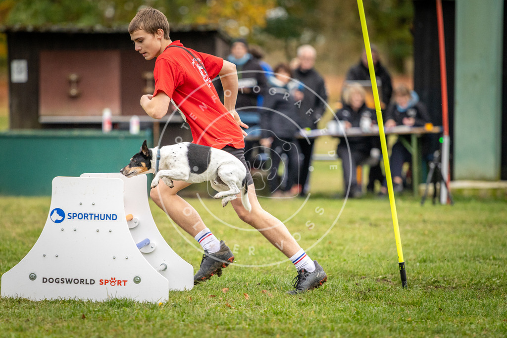 Pfotenfotografie_DV3A0548 | Hundefotografie, Tierfotograf, Pfotenfotografie, Fotoshooting Hund, Hunde Portrait, Hundesport, Hundeportraits, Heideshooting, Hunde, Sportfotograf, Hundefotograf, Turnierhundsport, THS,  - Realisiert mit Pictrs.com