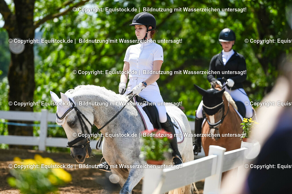20230715_09_Dressur-WB_0330 | equistock