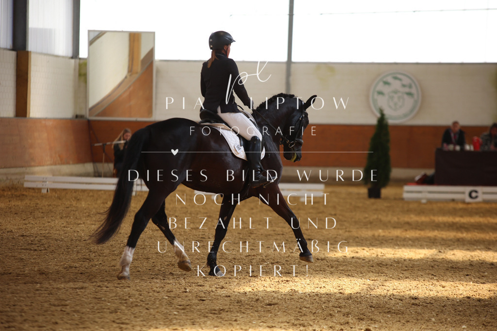 IMGT4270 | pl-fotografie