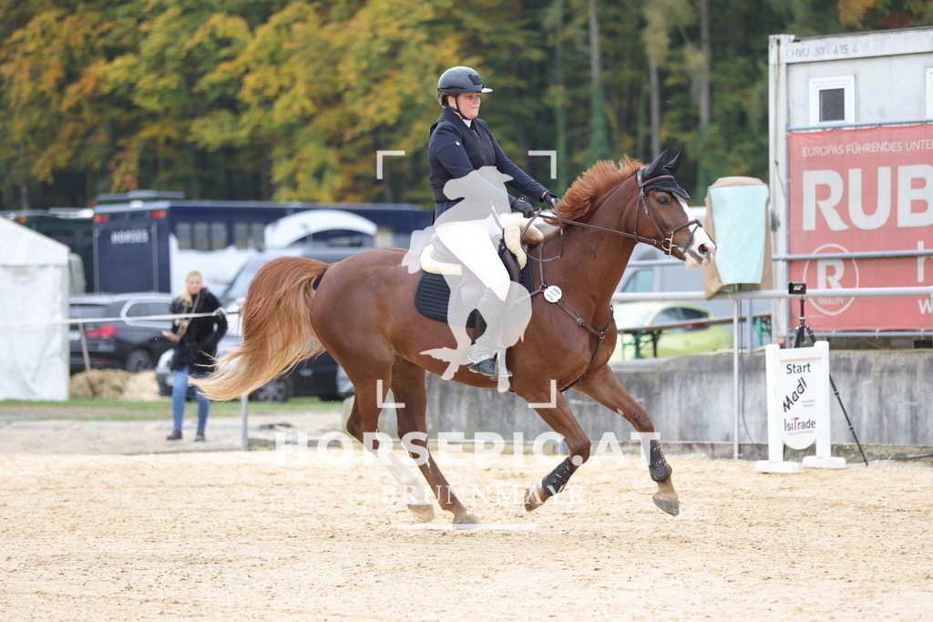 0P6A2133 | Willkommen bei Brunnmayr - Design & Fotografie – Ihrem Spezialisten für Reitturniere und Pferdeveranstaltungen in Oberösterreich, Salzburg und Bayern! Seit über 17 Jahren sind wir leidenschaftlich dabei.