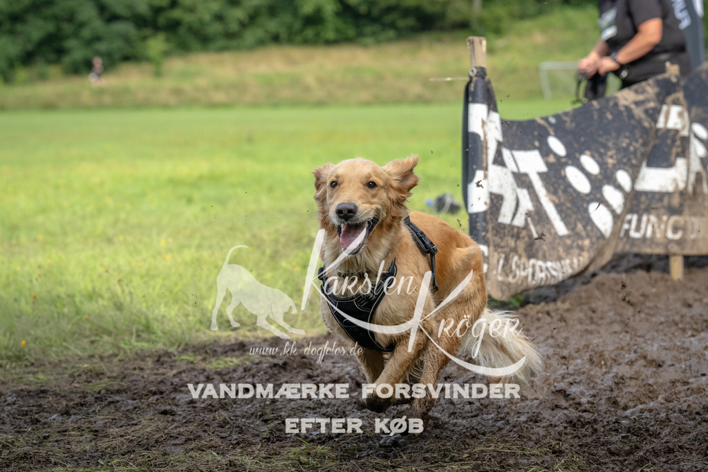 1735_ZZ92766 | kk-dogfotos