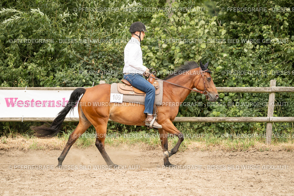 DSC00835 | Pferdegrafie