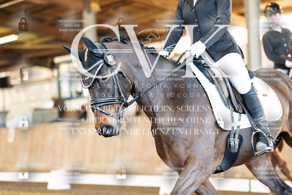 CK908290 | Turnierfotografie Pferdefotografie Trier Rheinland-Pfalz Pferdesport Reitsport Tierfotografie Sportfotografie Pferdevideo Pferdevideografie Equestrianvideography equestrianphotography  - Realisiert mit Pictrs.com