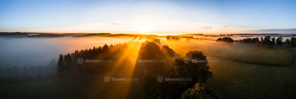 Ostalb bei Altheim im Nebel | löwenblicke | shop