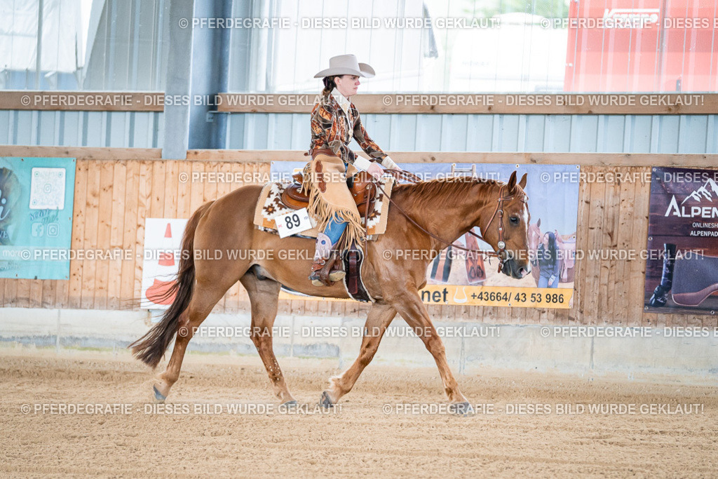 DSC07817 | Pferdegrafie