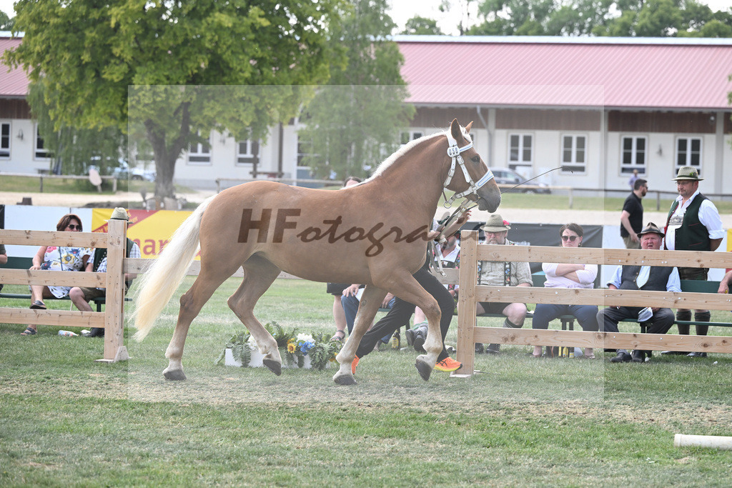 Kat-Nr. 58 Kenia_Schroeder_20230936 | hf-fotografie - Realisiert mit Pictrs.com