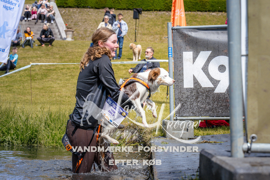 _ZZ981811035 | kk-dogfotos