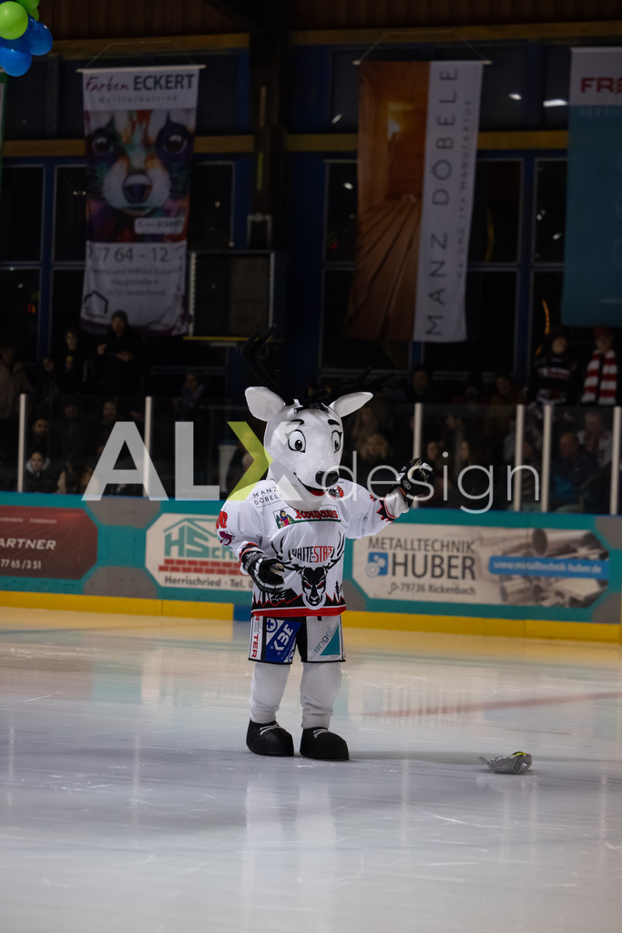 Eishockey I Herren I Saison 2025-2026 I Regio League | 3. Liga Regular Season Gr. 1 ZS | Men I 17. Spieltag I EHC Herrischried - HC Wohlen Freiamt I 01.02.2026 | Hochwertige Sportfotos kaufen & lizenzieren für Medien, Vereine, Agenturen & Sportler:innen. Entdecke professionelle Sportfotografie im Bildshop von Alexander Franzen. - Realisiert mit Pictrs.com