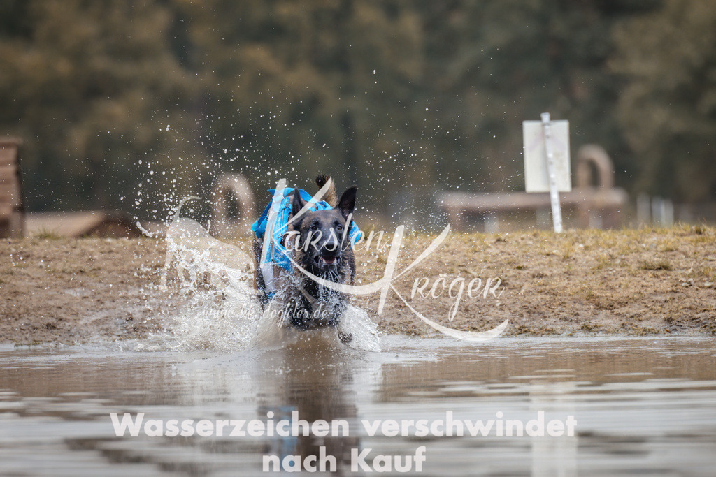 1358_ZZ94979 | kk-dogfotos