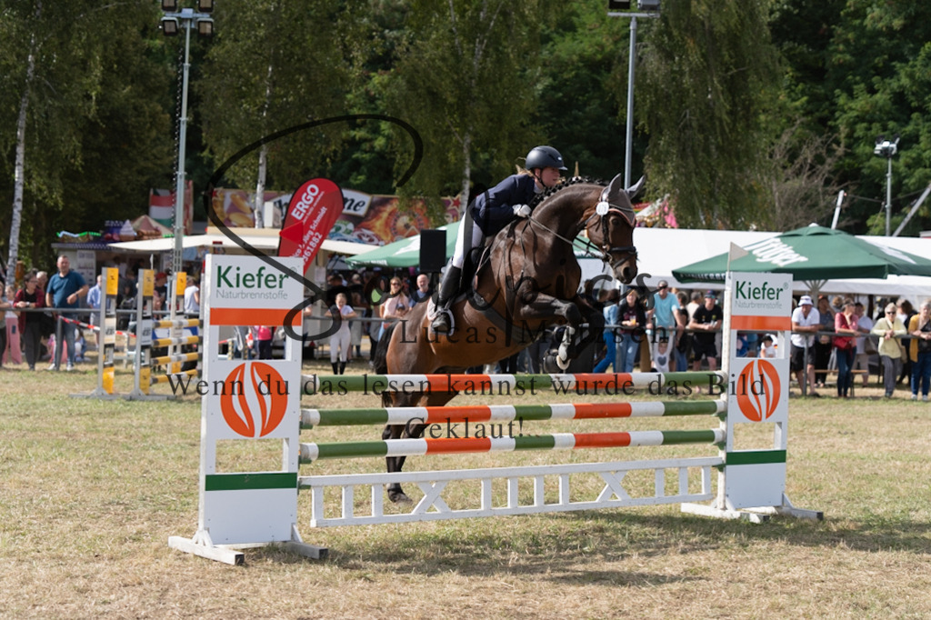 A7V09361 | Pferdefotograf