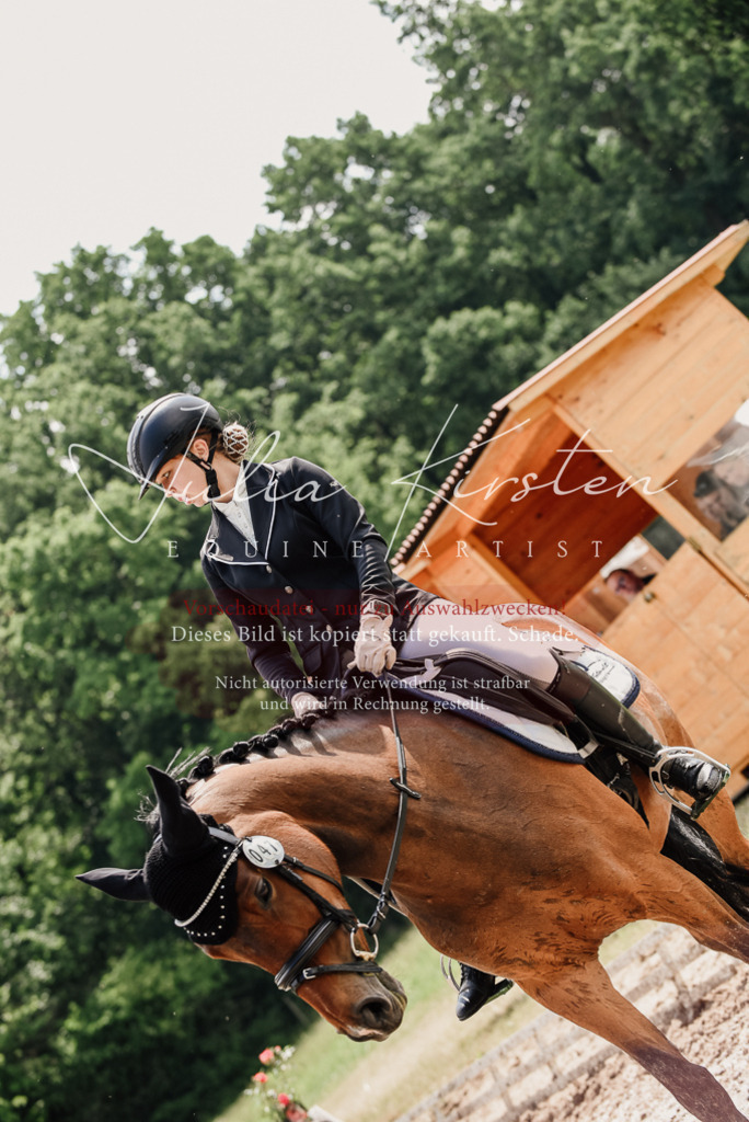 DSC_0917 | Pferde- und Turnierfotografie in Westsachsen. Pferdeportraits, Auftragszeichnungen und intuitive Kunst.