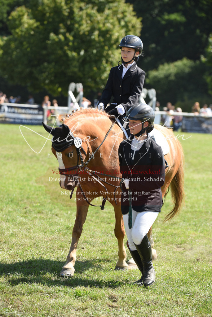 DSC_9720 | Pferde- und Turnierfotografie in Westsachsen. Pferdeportraits, Auftragszeichnungen und intuitive Kunst.
