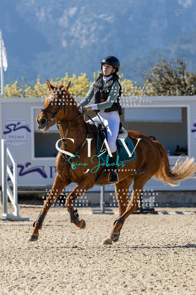 IMG_1281 | s-jay-photography - Realisiert mit Pictrs.com